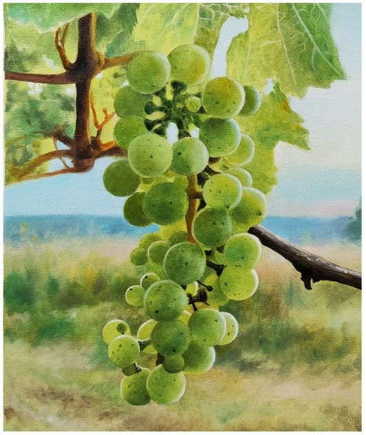 racimo de uvas