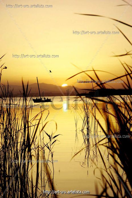 Pesca al atardecer