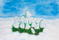 Snowdrops in snow 2