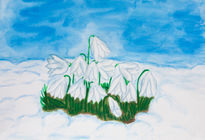 Snowdrops in snow 2