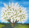 White spring tree 11