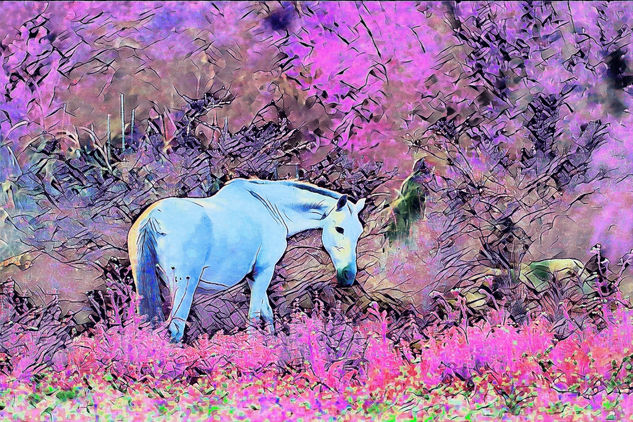 Caballo Conceptual/Abstracto Color (Digital)