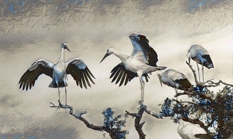 Naturaleza