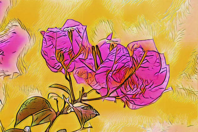 Buganvillas con fondo amarillo