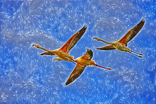 Flamencos en vuelo 2 Naturaleza Color (Digital)