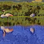 Animales thumbnail 1