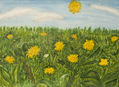 Meadow with yellow dandelions