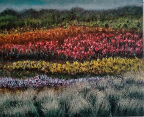 Flores silvestres