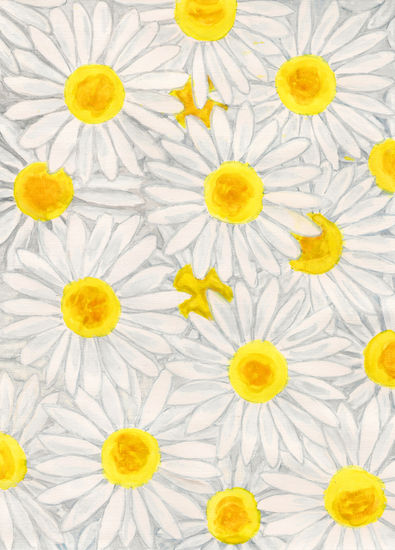 Background from camomiles (daisies) Gouache Paper Floral Painting