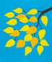 Branch with yellow leaves on blue sky