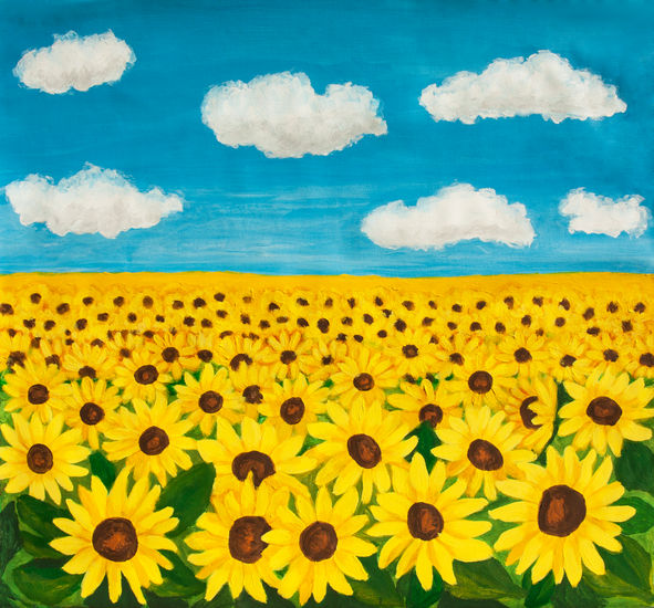 Field with sunflowers and blue sky Acrílico Lienzo Floral