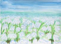 Snowdrops 3