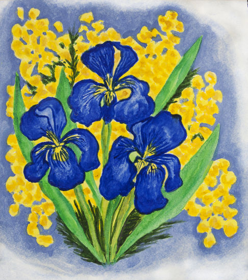 Blue irises with mimosa Acuarela Papel Floral