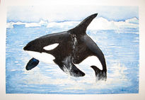 Orca 2