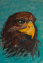 VOLAR