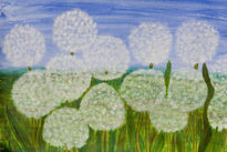 White dandelions 2