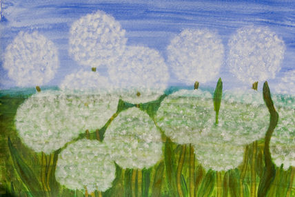 White dandelions 2