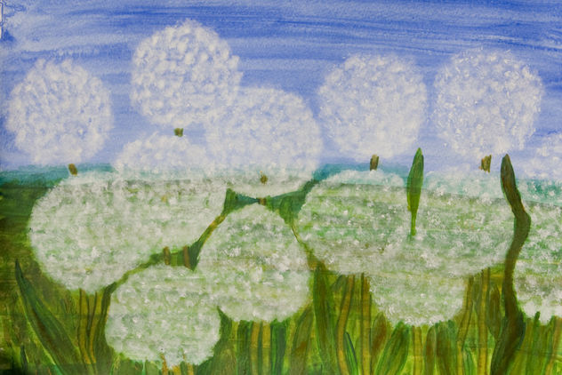 White dandelions 2