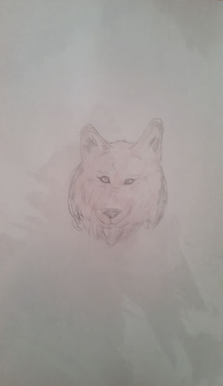 Cara lobo Pencil