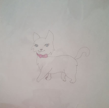 Gato fino 2