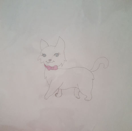 Gato fino 2