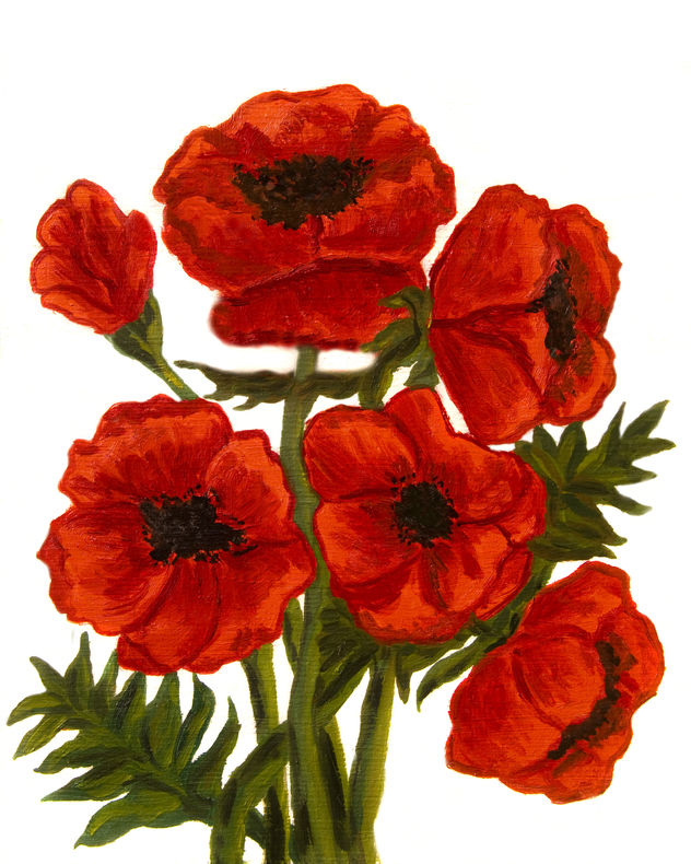 Red poppies on white vertical