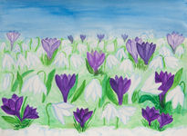 Snowdrops and crocuses