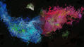 Contrary Cosmic Sructure - Limited Edition Print Only