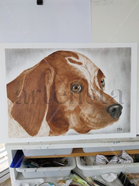 Perro cazador