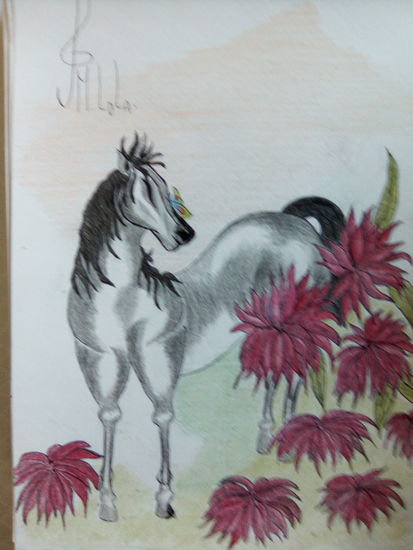 Caballo Pencil