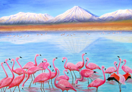 Flamencos en el...