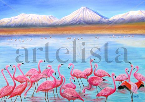 Flamencos en el...