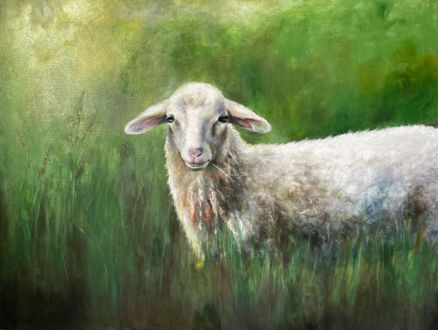 The Tranquility of a Sheep/ La tranquilidad de una oveja