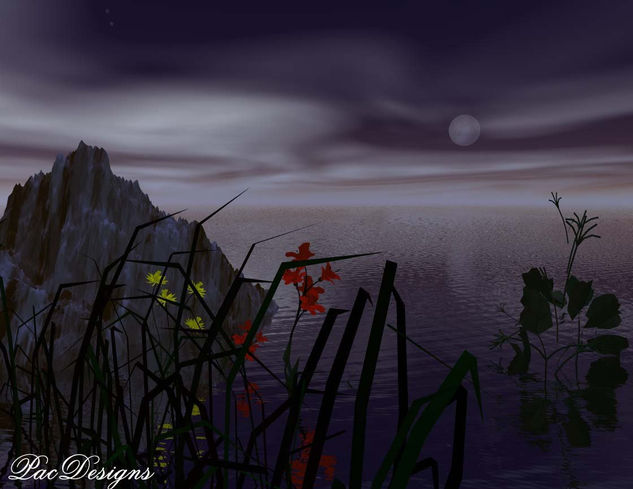 Paisaje Noche 3D 