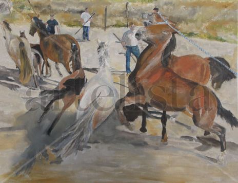 Wild Horses