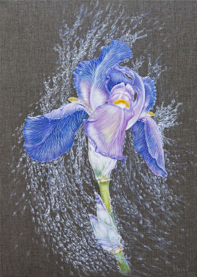 Anastasia Woron:"Iris en Perlas de Lluvia"-Óleo Original Firmado (46x33cm.) 2024