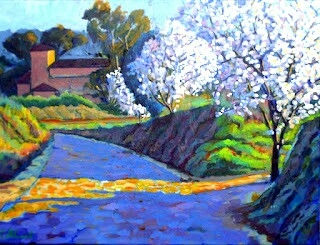 Almendros en flor al atardecer.