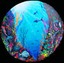 ACUARIO ROATAM, HONDURAS, RODAJA ARTISTICA