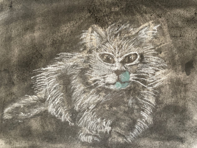 Cat in the Dark Charcoal