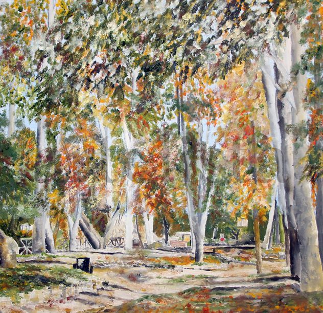 Autumn in Castillo 2