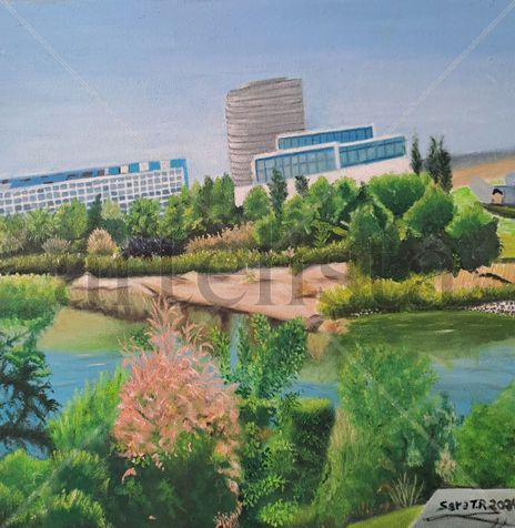 Zaragoza, vistas...