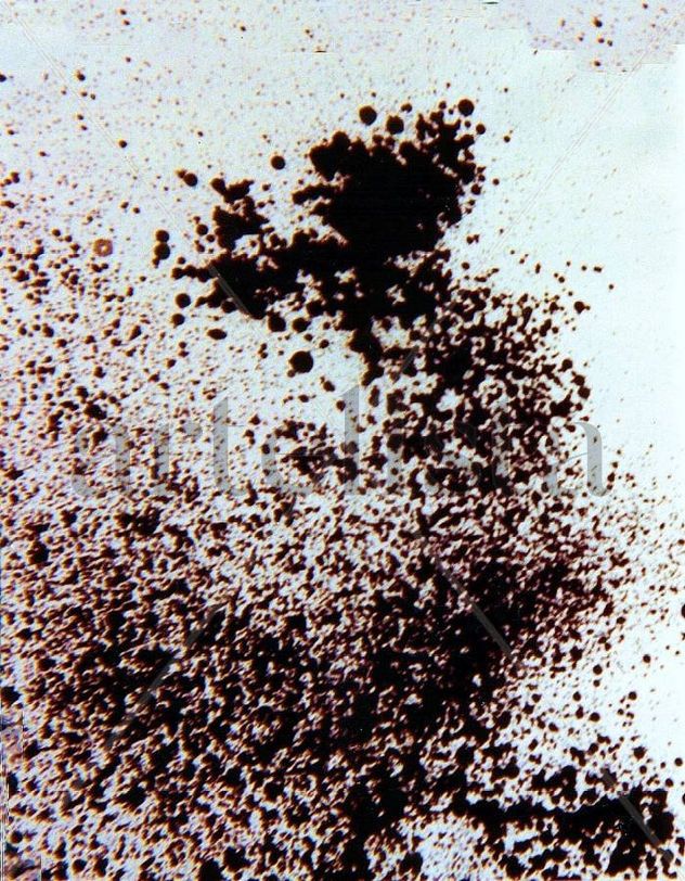 R064.BLANCO Y NEGRO,1981