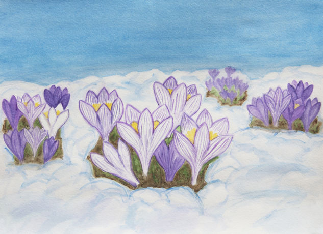 Crocuses in snow Watercolour Paper Floral Painting