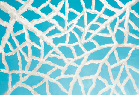 Winter branches in...