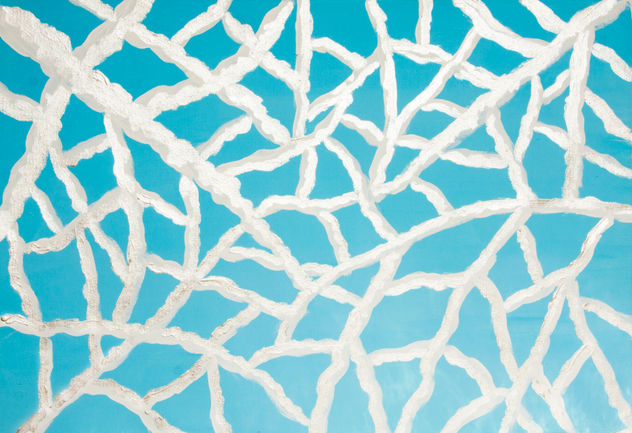 Winter branches in snow 3