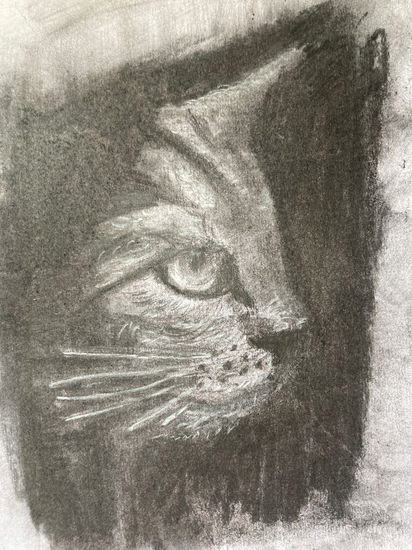 Cat in the Dark Charcoal