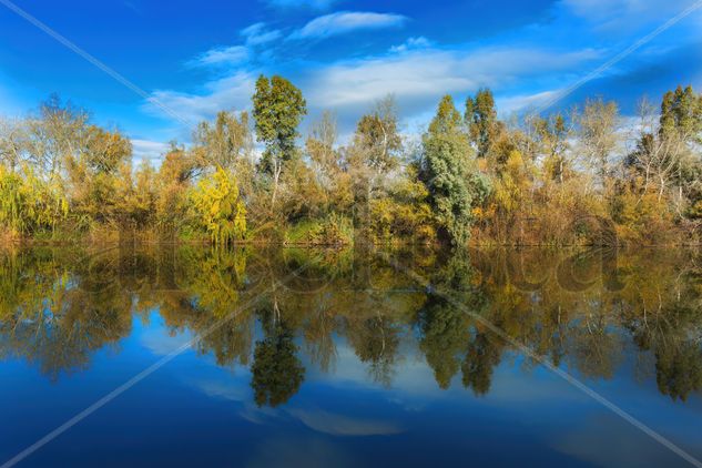 Paisaje-Panorámica Nature Color (Digital)