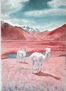 Alpacas en el prado rosa Encantadora pintura de acuarela
