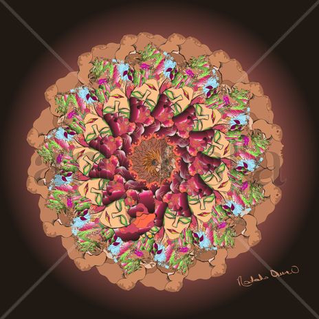 Jardín mandalas