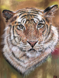 Tiger in pastel